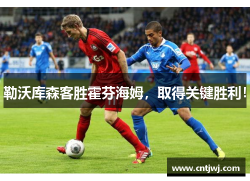 勒沃库森客胜霍芬海姆，取得关键胜利！