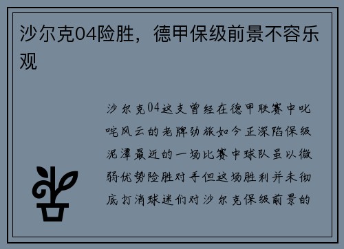 沙尔克04险胜，德甲保级前景不容乐观